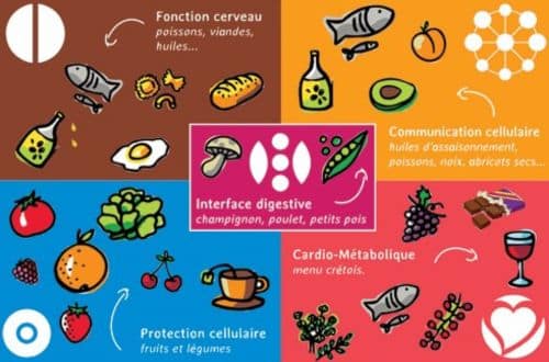 Micronutrition | Jean-Michel BESSÉ
