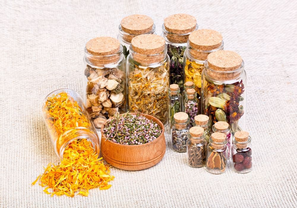 Naturopathe à Casablanca et Marrakech Naturopathie | Jean-Michel BESSÉ