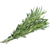 Huile essentielle de romarin Naturopathie | Jean-Michel BESSÉ